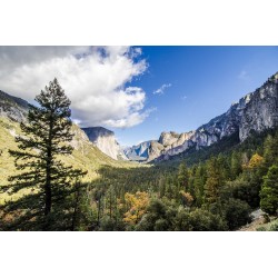Yosemite National Park/CA/EUA