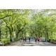 Central Park - New York/EUA